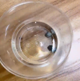 <a href='http://www.jnjinpai.cn' title='危險品貨代' >危險品貨代</a>